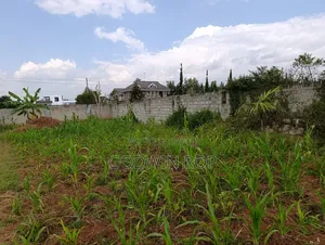One Acre Land for Sale in Lower Elgon View Eldoret.