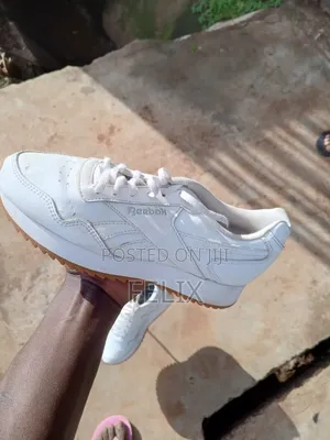 Stepper Kicks Collection