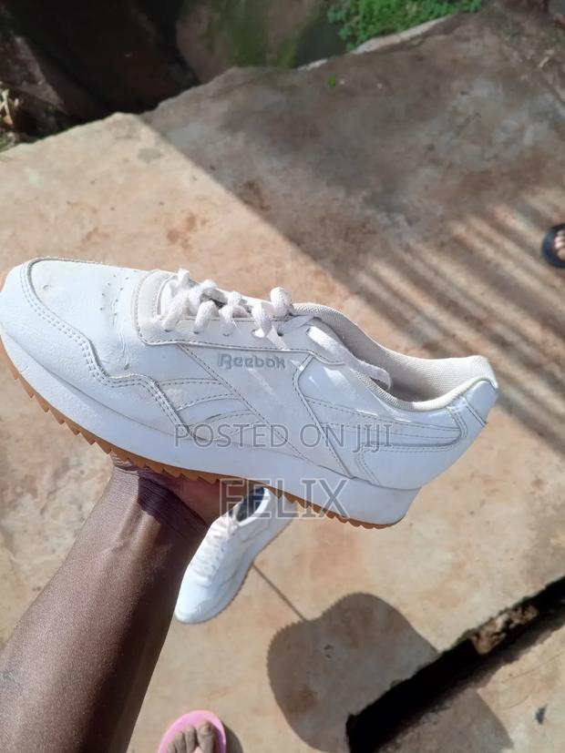 Stepper Kicks Collection