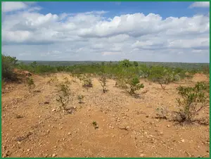 3 Acre Farmland for Sale, Narok Eor Ekule - KSH /Acre