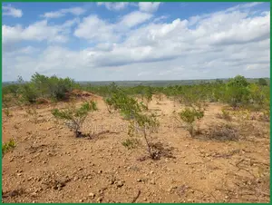 3 Acre Farmland for Sale, Narok Eor Ekule - KSH /Acre