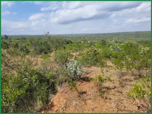 3 Acre Farmland for Sale, Narok Eor Ekule - KSH /Acre
