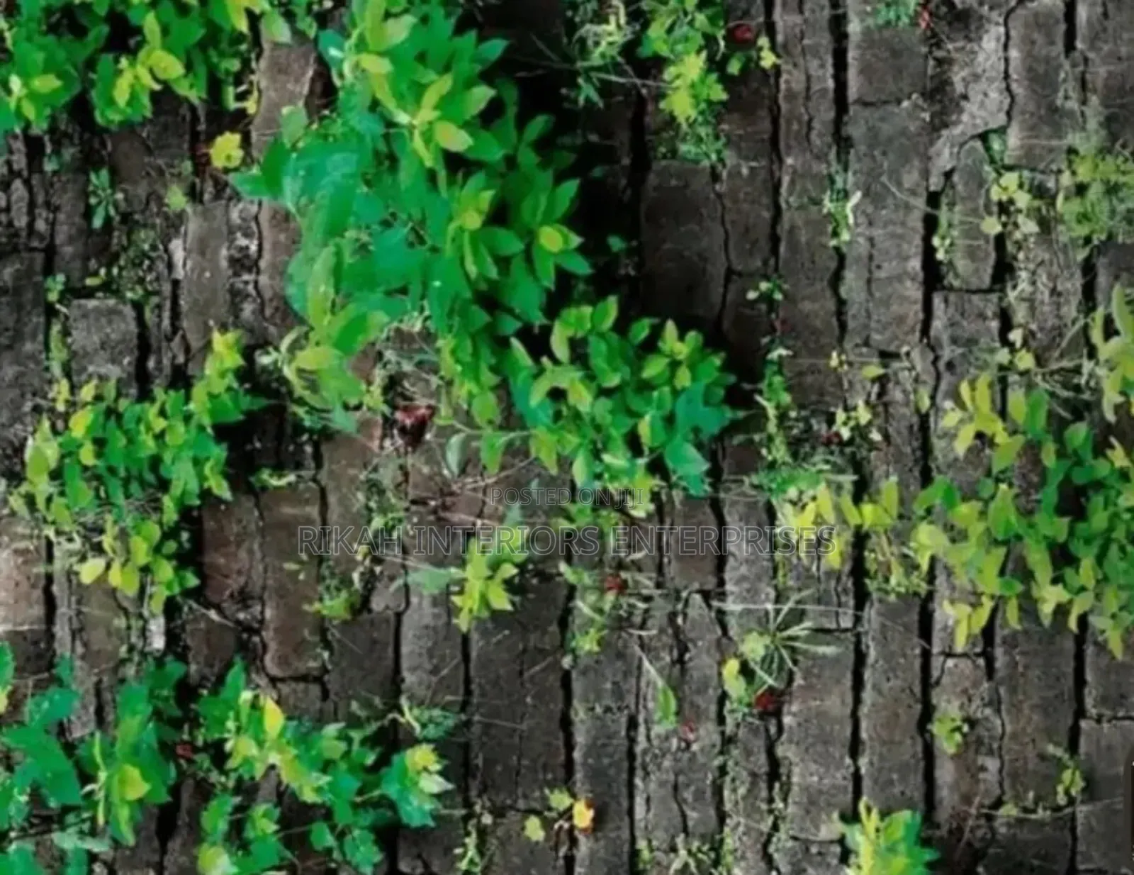 Bricks Wallpapers Flora Wallpapers Environmental Friendly Robertson's