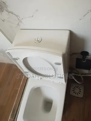 Plumber-Top Flush Flush Handles Replacement