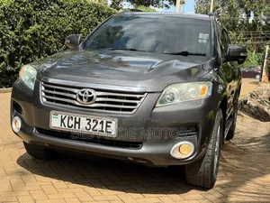 Toyota Vanguard 2009 Gray