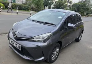 Toyota Vitz 2013 Gray