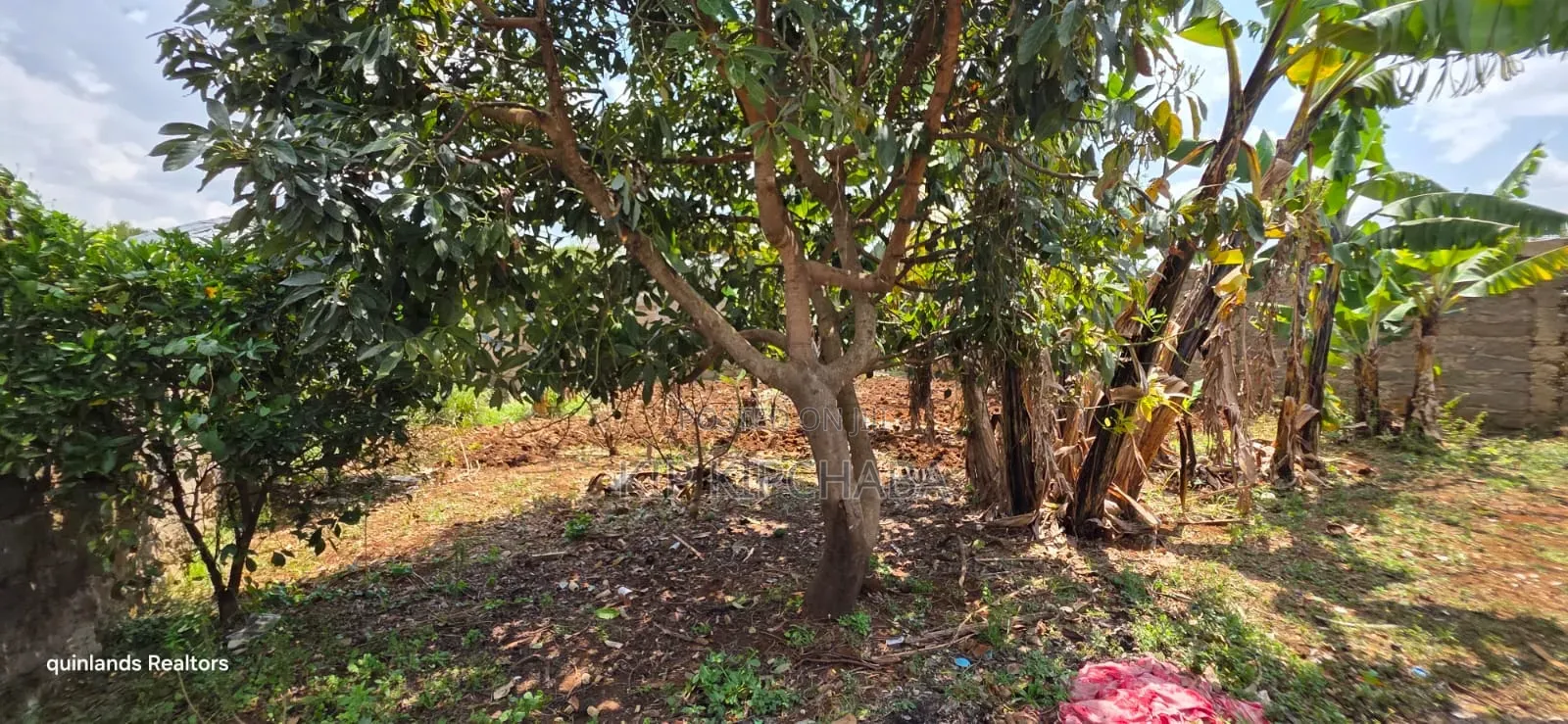 4bdrm Bungalow in Kipkorgot, Hillside for sale