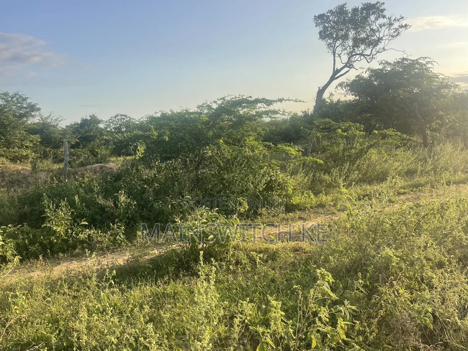 50 Acres at Only 5,000,000
