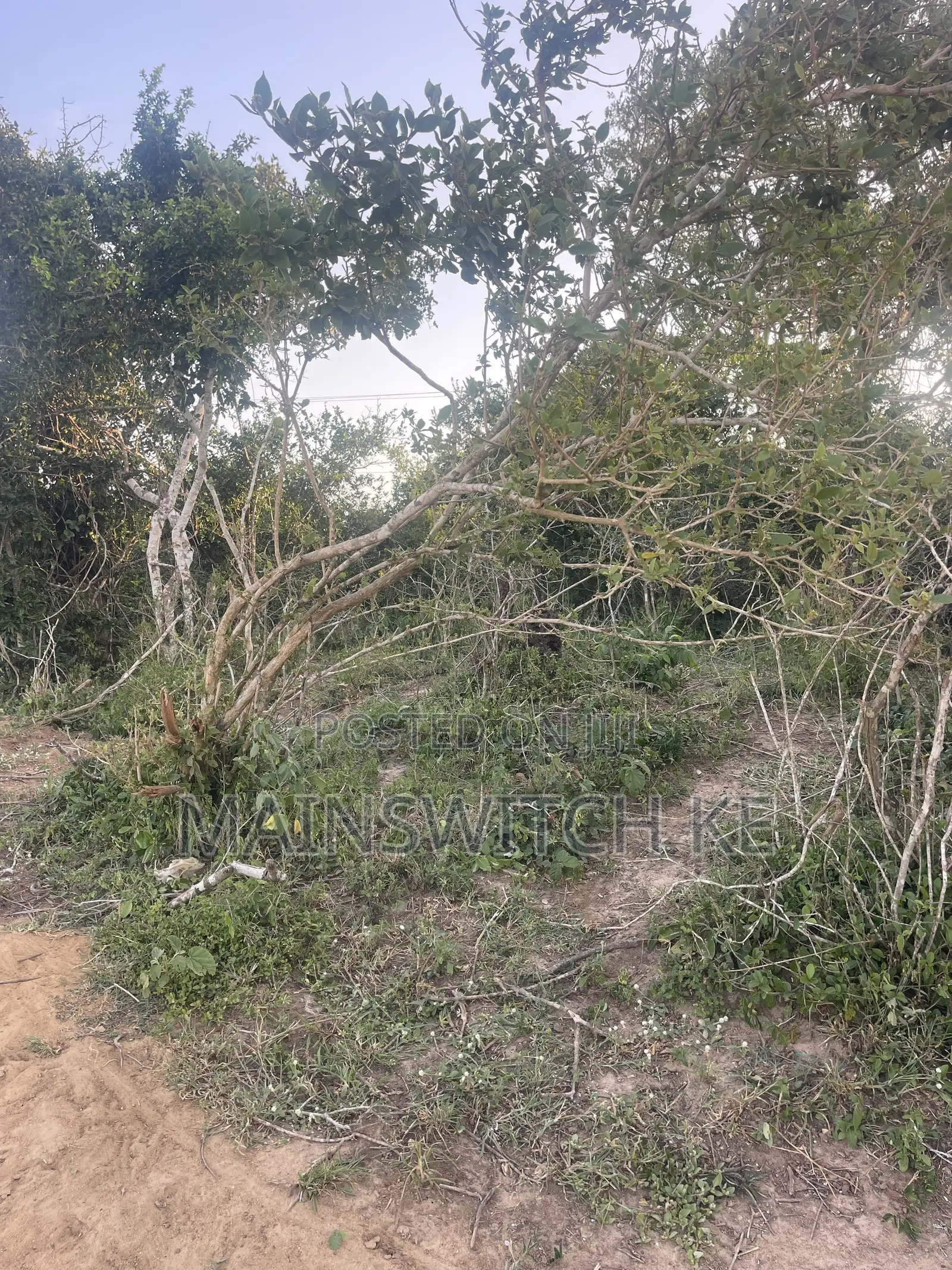 31 Acres for Sale Waiting for Tittle Deed