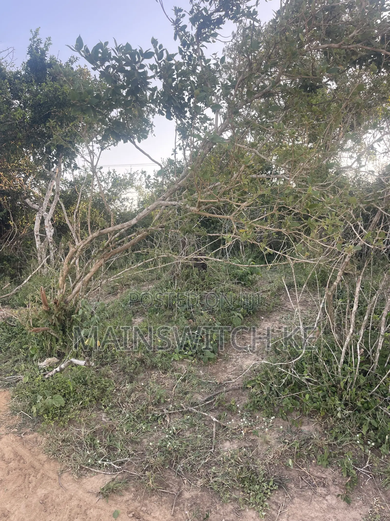 31 Acres for Sale Waiting for Tittle Deed