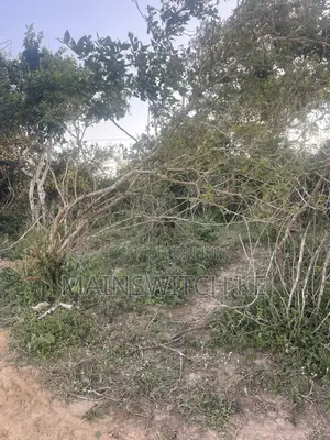 31 Acres for Sale Waiting for Tittle Deed