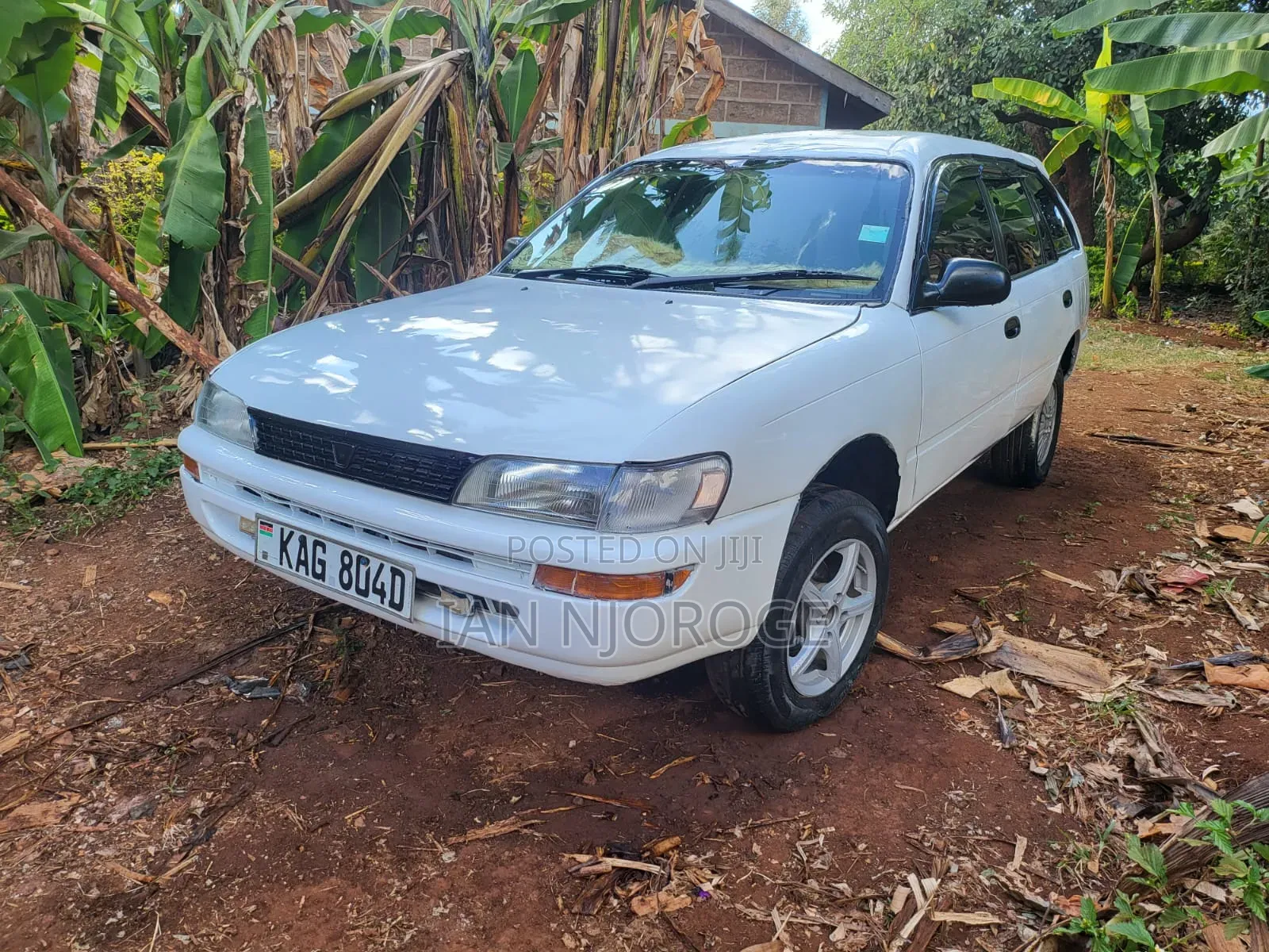 Toyota Corolla 1995 White
