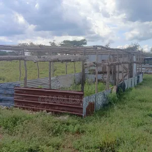 1 Acre in Kajiado