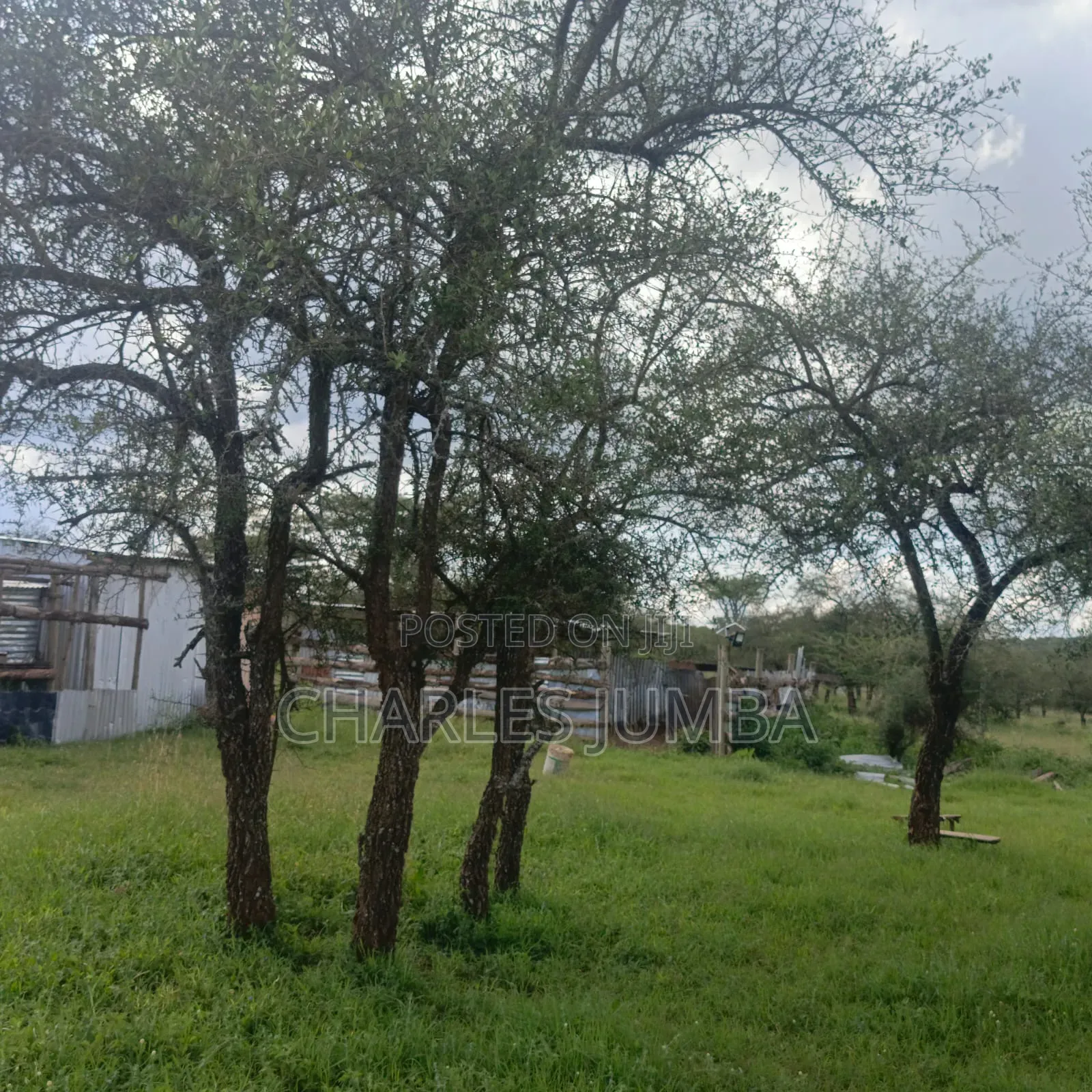 1 Acre in Kajiado
