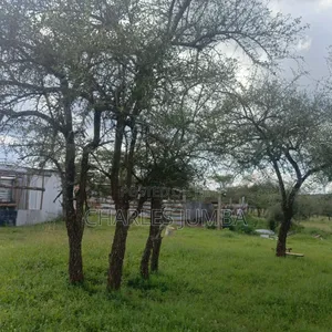 1 Acre in Kajiado