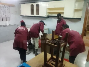 Cleaning Services Advanced Service