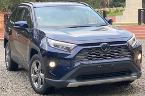 Toyota RAV4 2019 Blue