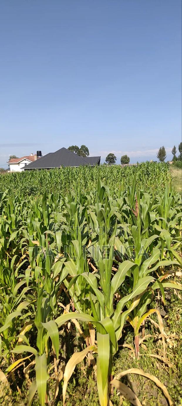 Land for Sale - thumbnail 2