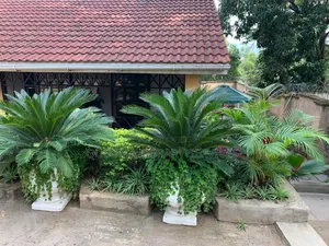 Furnished 4bdrm Mansion in Lolwe for sale