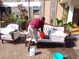 Experienced Sofa and Carpet Cleaning Services