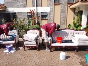 Professional Couch Sofa Cleaning