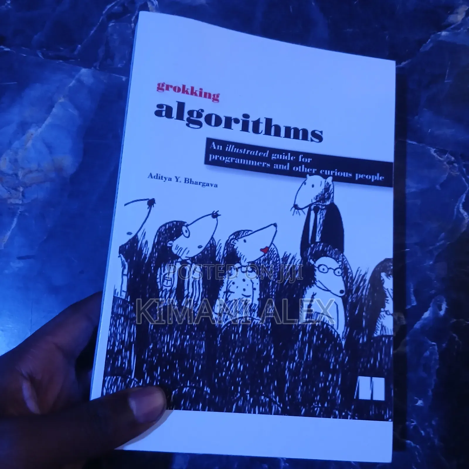 Grokking Algorithms