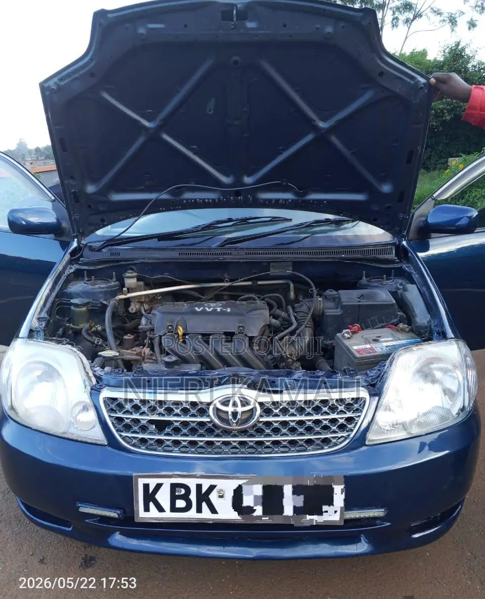 Toyota Corolla 2004 Blue