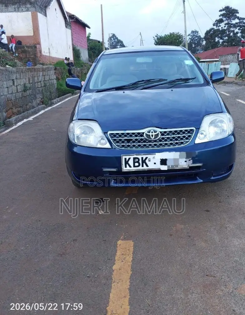 Toyota Corolla 2004 Blue