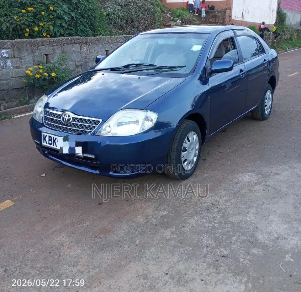 Toyota Corolla 2004 Blue