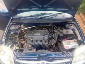 Toyota Corolla 2004 Blue