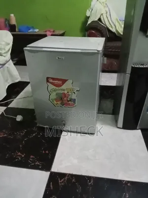 Fridge 40 Liters