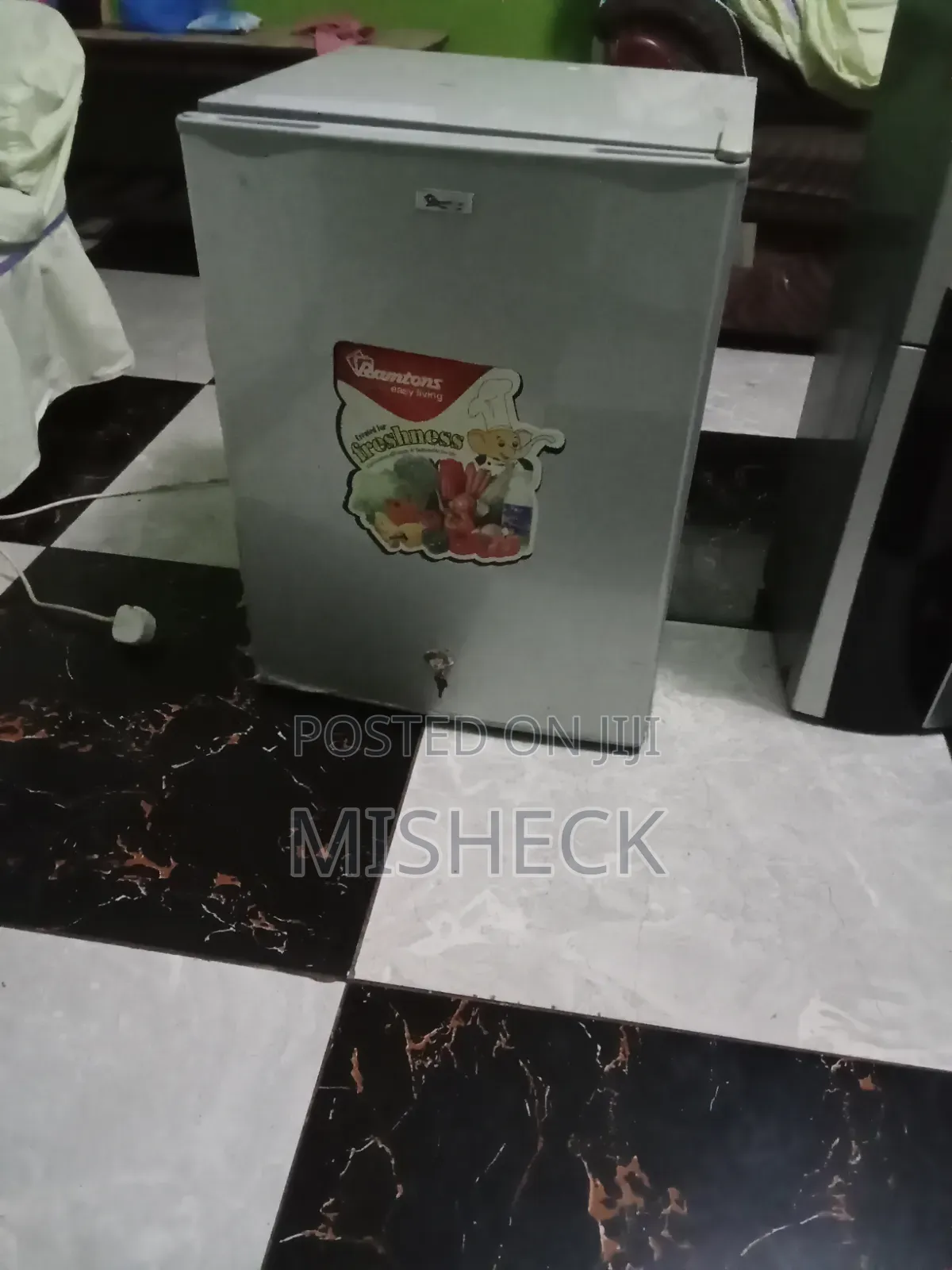 Fridge 40 Liters