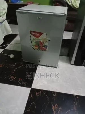Fridge 40 Liters