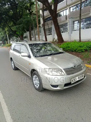 Toyota Corolla Fielder 2007 Gray
