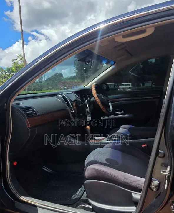 Nissan Sylphy 2010 Black