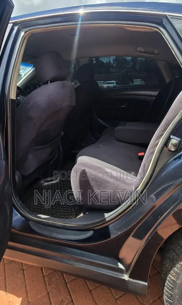 Nissan Sylphy 2010 Black