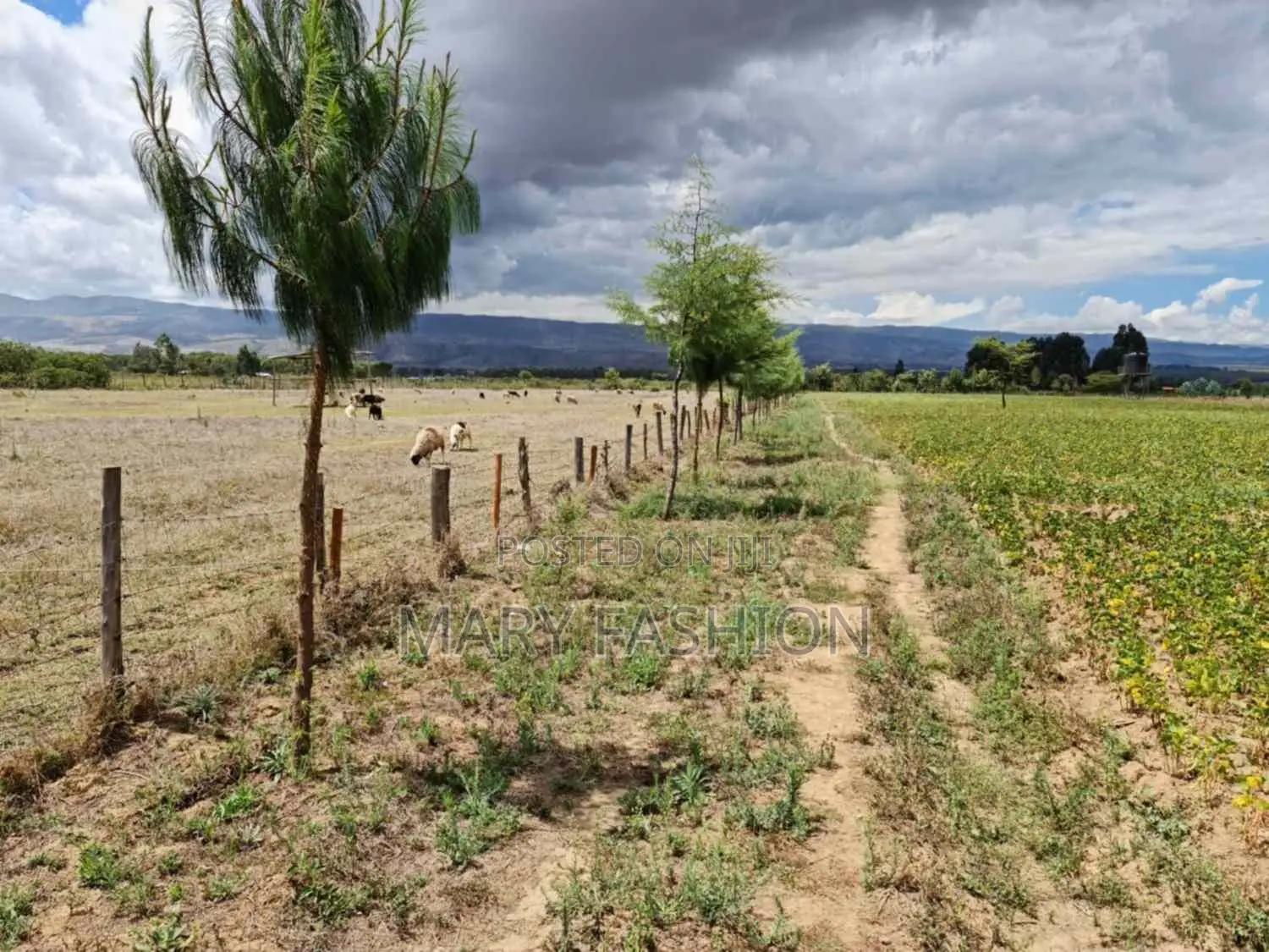 Land for Sale in Matuu-Musingini