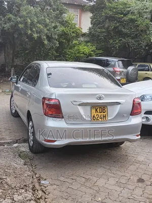 Toyota Axio 2014 Gray