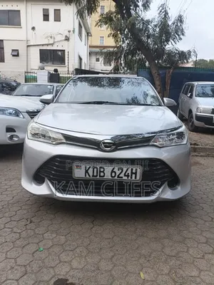 Toyota Axio 2014 Gray