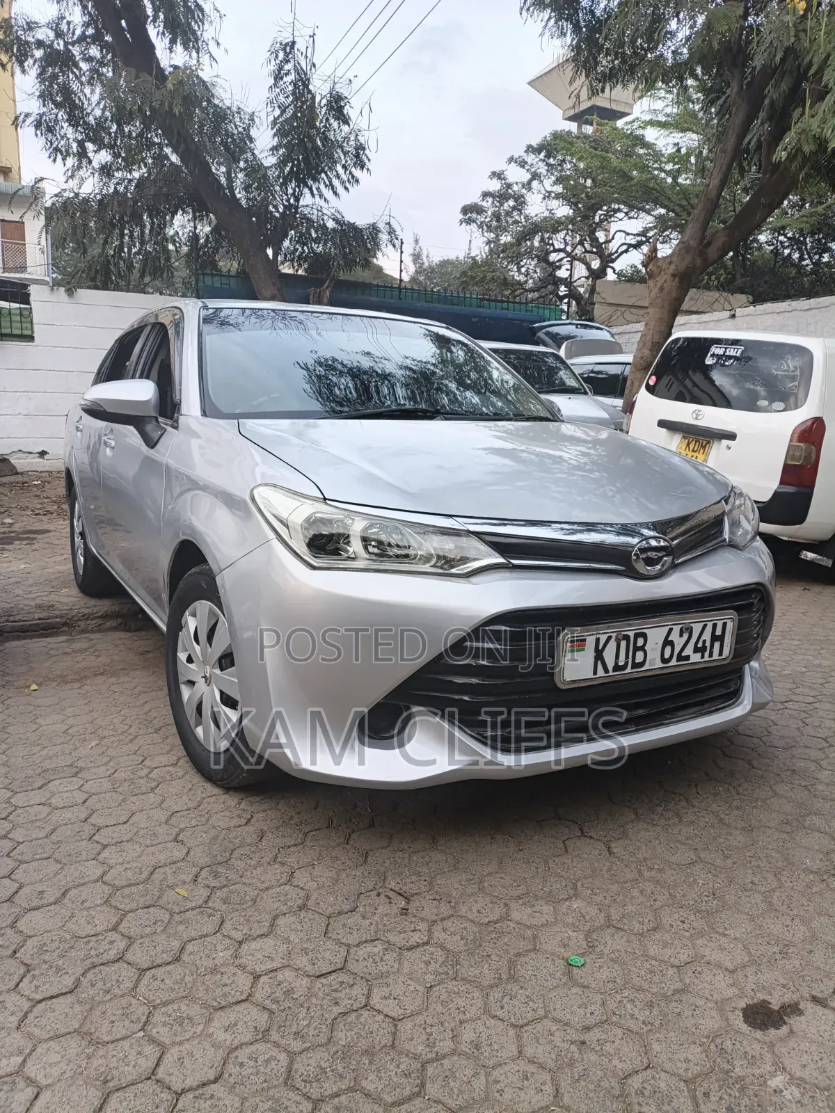 Toyota Axio 2014 Gray