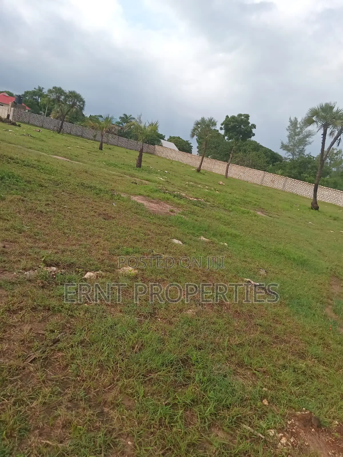 Prime 1.25 Acres for Sale in Diani -15 Minutes to the Beach