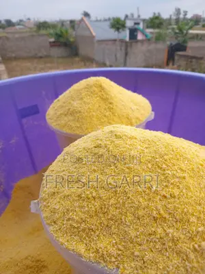 Garri for Sale
