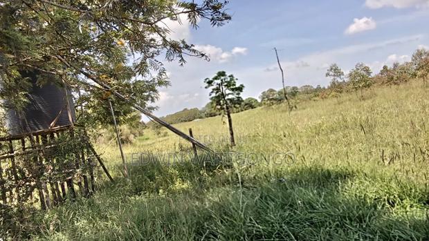 50by100 Plots for Sale in Mweiga Kieni