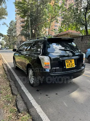 Toyota Corolla Fielder 2010 Black
