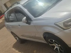 Toyota Corolla Fielder 2013 Silver