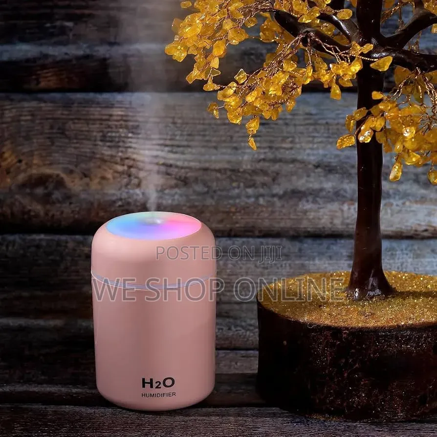 Mini Air Humidifier,Portable 300ml Usb Humidifier With Led Night Light