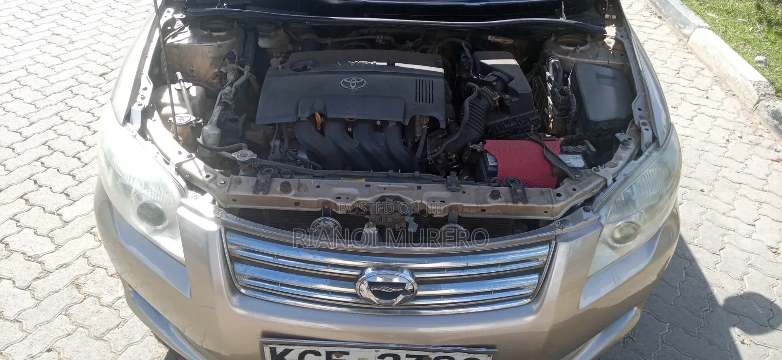 Toyota Axio 2008 Beige