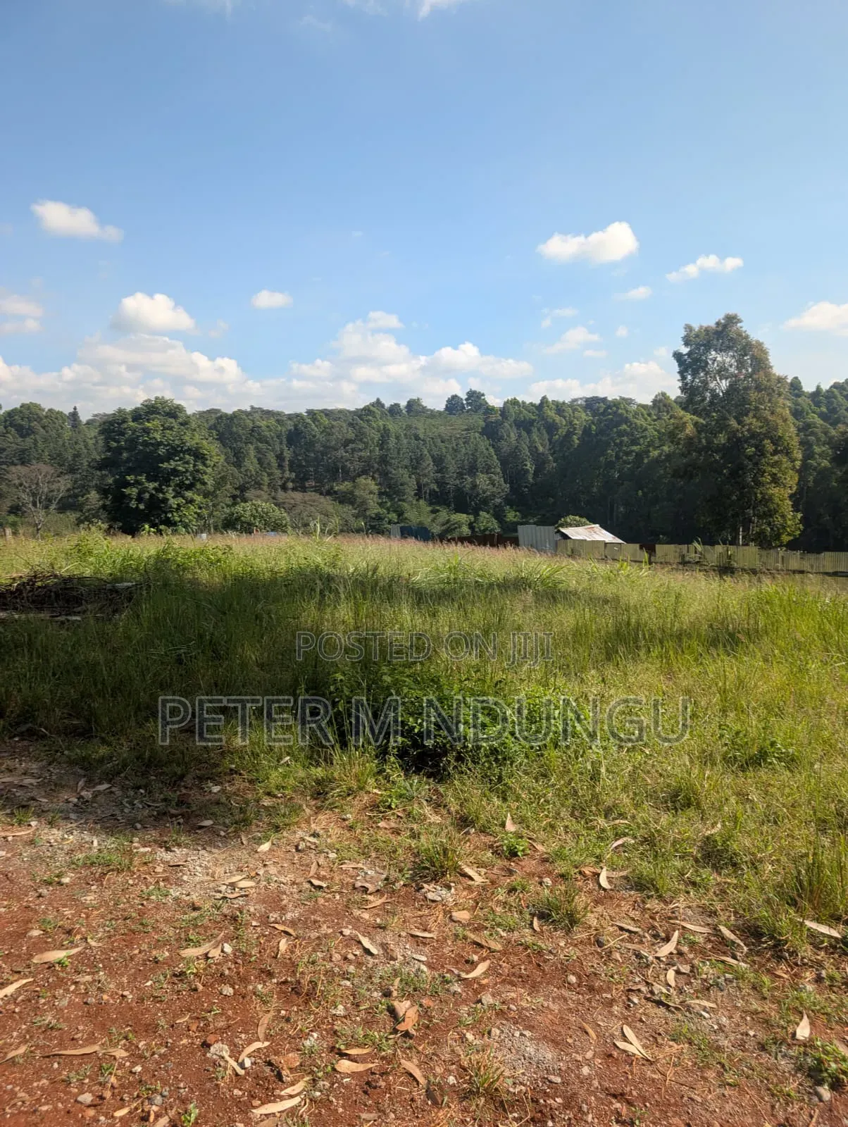 Muthithi-Njathaini Rd, Valley View Estate Opposite Kist, 1/2 Acre
