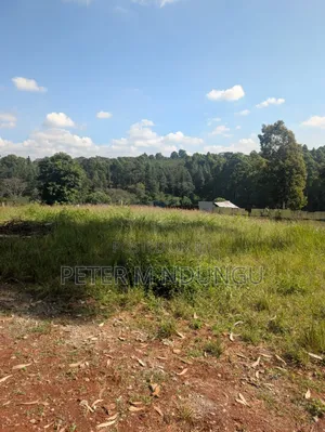 Muthithi-Njathaini Rd, Valley View Estate Opposite Kist, 1/2 Acre