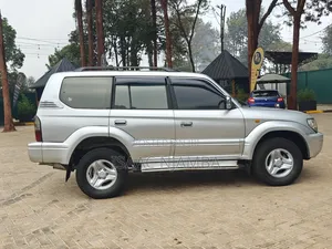 Toyota Land Cruiser Prado 2002 Silver
